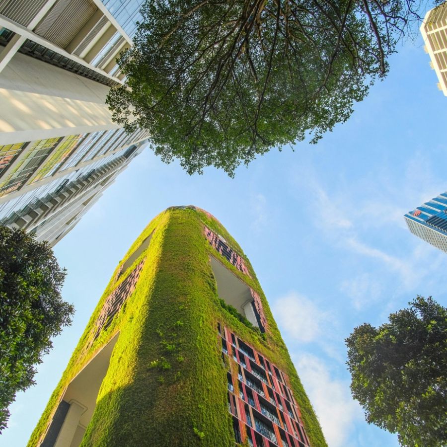 Jardines Verticales