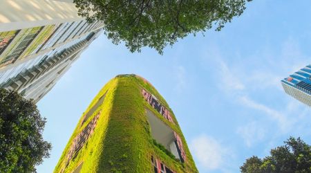 Jardines Verticales