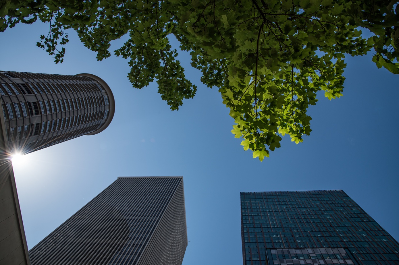 Estrategias de construcción