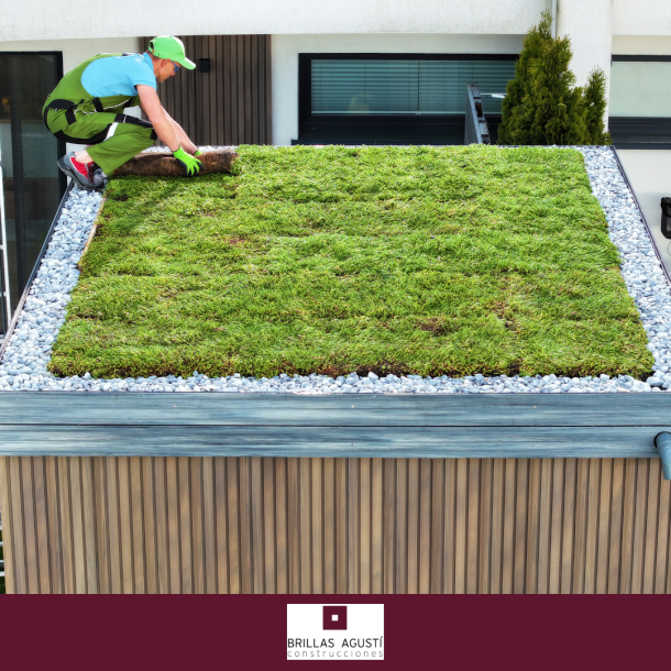 Vegetek el techo vegetal