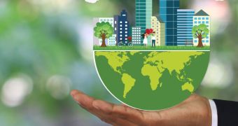 Innovación y sostenibilidad